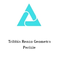 Tribbia Renzo Geometra Perizie