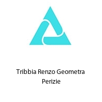 Logo Tribbia Renzo Geometra Perizie