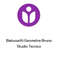 Logo Balossetti Geometra Bruno Studio Tecnico