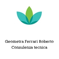 Geometra Ferrari Roberto Consulenza tecnica