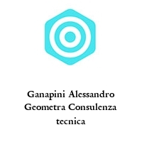 Logo Ganapini Alessandro Geometra Consulenza tecnica