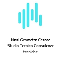 Logo Nasi Geometra Cesare Studio Tecnico Consulenze tecniche