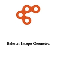 Logo Balestri Iacopo Geometra