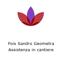 Logo Fois Sandro Geometra Assistenza in cantiere