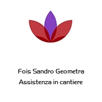 Fois Sandro Geometra Assistenza in cantiere