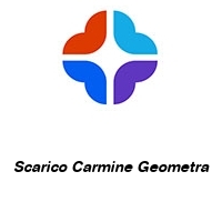 Logo Scarico Carmine Geometra