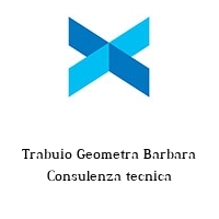 Logo Trabuio Geometra Barbara Consulenza tecnica