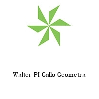 Logo Walter PI Gallo Geometra