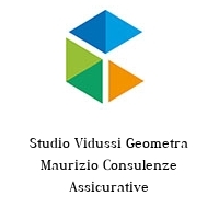 Logo Studio Vidussi Geometra Maurizio Consulenze Assicurative