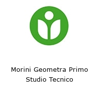 Logo Morini Geometra Primo Studio Tecnico