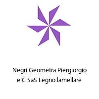 Negri Geometra Piergiorgio e C SaS Legno lamellare