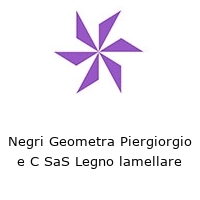 Logo Negri Geometra Piergiorgio e C SaS Legno lamellare