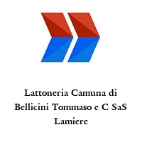 Logo Lattoneria Camuna di Bellicini Tommaso e C SaS Lamiere