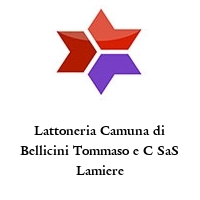 Lattoneria Camuna di Bellicini Tommaso e C SaS Lamiere