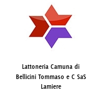 Logo Lattoneria Camuna di Bellicini Tommaso e C SaS Lamiere