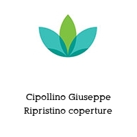 Logo Cipollino Giuseppe Ripristino coperture