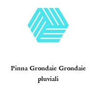 Logo Pinna Grondaie Grondaie pluviali