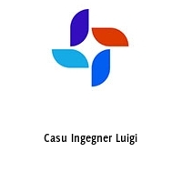 Logo Casu Ingegner Luigi