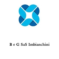 Logo B e G SaS Imbianchini