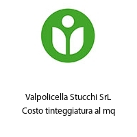 Logo Valpolicella Stucchi SrL Costo tinteggiatura al mq