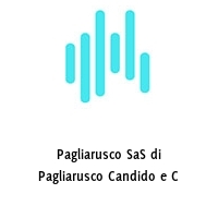 Logo Pagliarusco SaS di Pagliarusco Candido e C