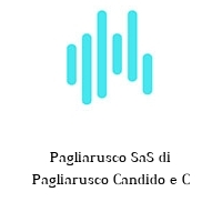 Pagliarusco SaS di Pagliarusco Candido e C