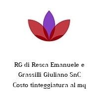Logo RG di Resca Emanuele e Grassilli Giuliano SnC Costo tinteggiatura al mq