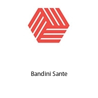 Logo Bandini Sante