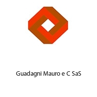 Logo Guadagni Mauro e C SaS