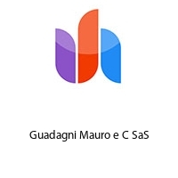 Guadagni Mauro e C SaS