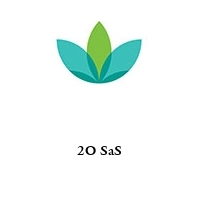 2O SaS