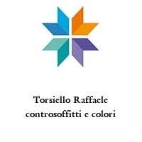 Torsiello Raffaele controsoffitti e colori