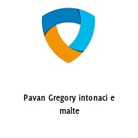 Pavan Gregory intonaci e malte