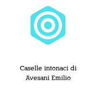 Caselle intonaci di Avesani Emilio