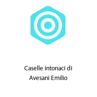 Logo Caselle intonaci di Avesani Emilio