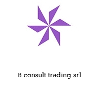 B consult trading srl