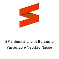 Logo BV intonaci snc di Bonanno Vincenzo e Vecchio Natale