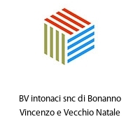 Logo BV intonaci snc di Bonanno Vincenzo e Vecchio Natale