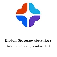 Logo Baldon Giuseppe stuccatore intonacatore premiscelati