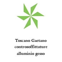 Logo Toscano Gaetano controsoffittature alluminio gesso