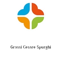 Logo Grassi Cesare Spurghi