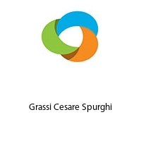 Logo Grassi Cesare Spurghi