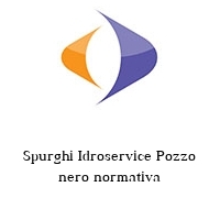 Spurghi Idroservice Pozzo nero normativa