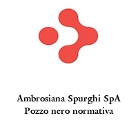 Logo Ambrosiana Spurghi SpA Pozzo nero normativa