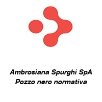 Ambrosiana Spurghi SpA Pozzo nero normativa