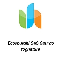 Logo Ecospurghi SaS Spurgo fognature