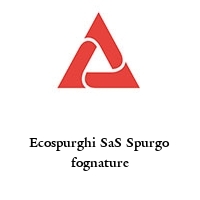 Ecospurghi SaS Spurgo fognature