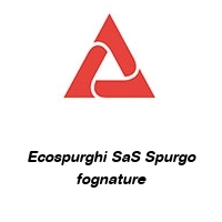 Logo Ecospurghi SaS Spurgo fognature