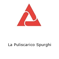 Logo La Puliscarico Spurghi
