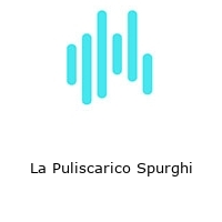 Logo La Puliscarico Spurghi